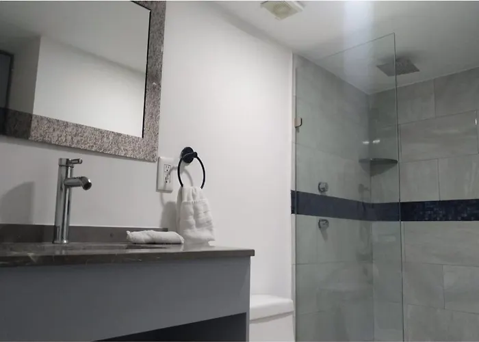 Collection O Morgan Center, Cabos 5* Cabo San Lucas